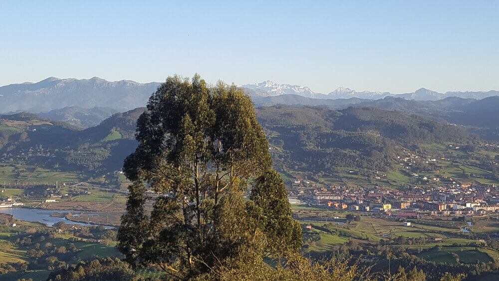 Living Asturias